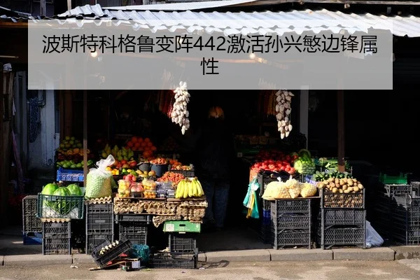 bo-si-te-ke-ge-lu-bian-zhen-ji-huo-sun-xing-min-bian-feng-shu-xing-2-908.jpg