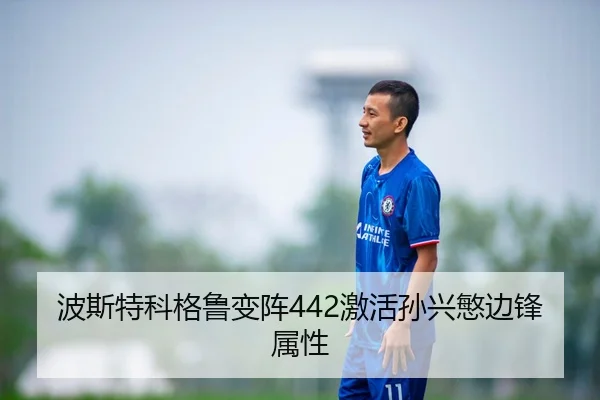 波斯特科格鲁变阵442激活孙兴慜边锋属性