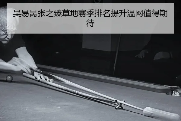 吴易昺张之臻草地赛季排名提升温网值得期待