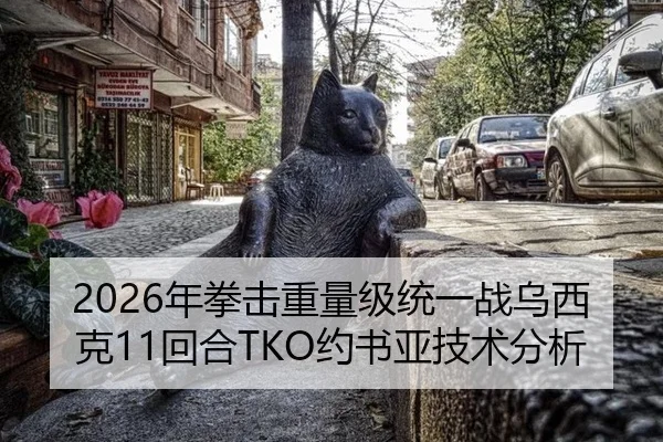 2026年拳击重量级统一战乌西克11回合TKO约书亚技术分析
